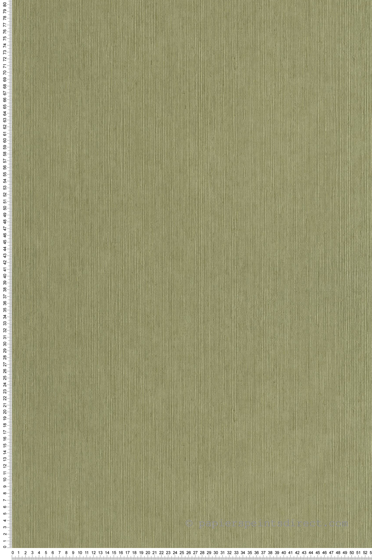 Papier peint Sisal Fibre vert tilleul - Borneo de Casélio | Réf. BORN106017450