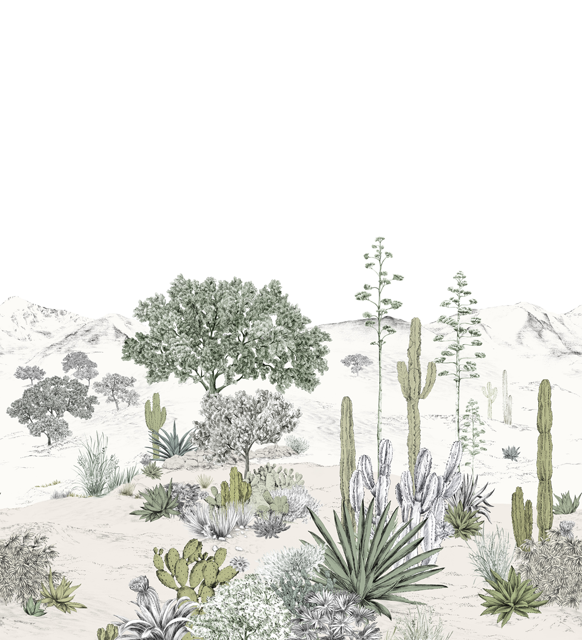 Papier peint panoramique Cactus Succulentes Naturel A+B - 1/2/3/4/5/6 - Isidore Leroy