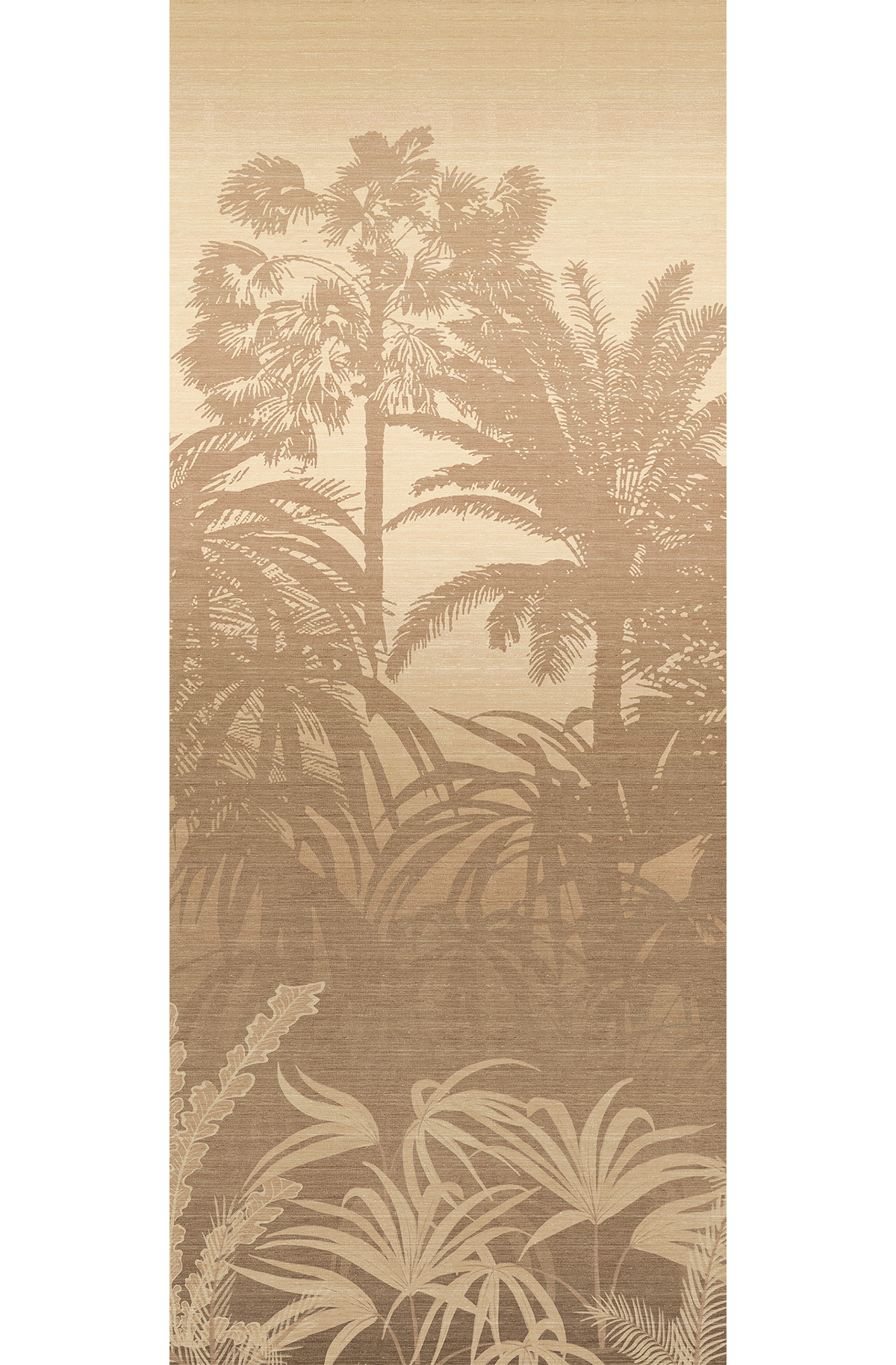 Papier peint panoramique Jungle Awarra taupe - A H260 - Amazone de Masureel | Réf. MAS-DGZON1041-260