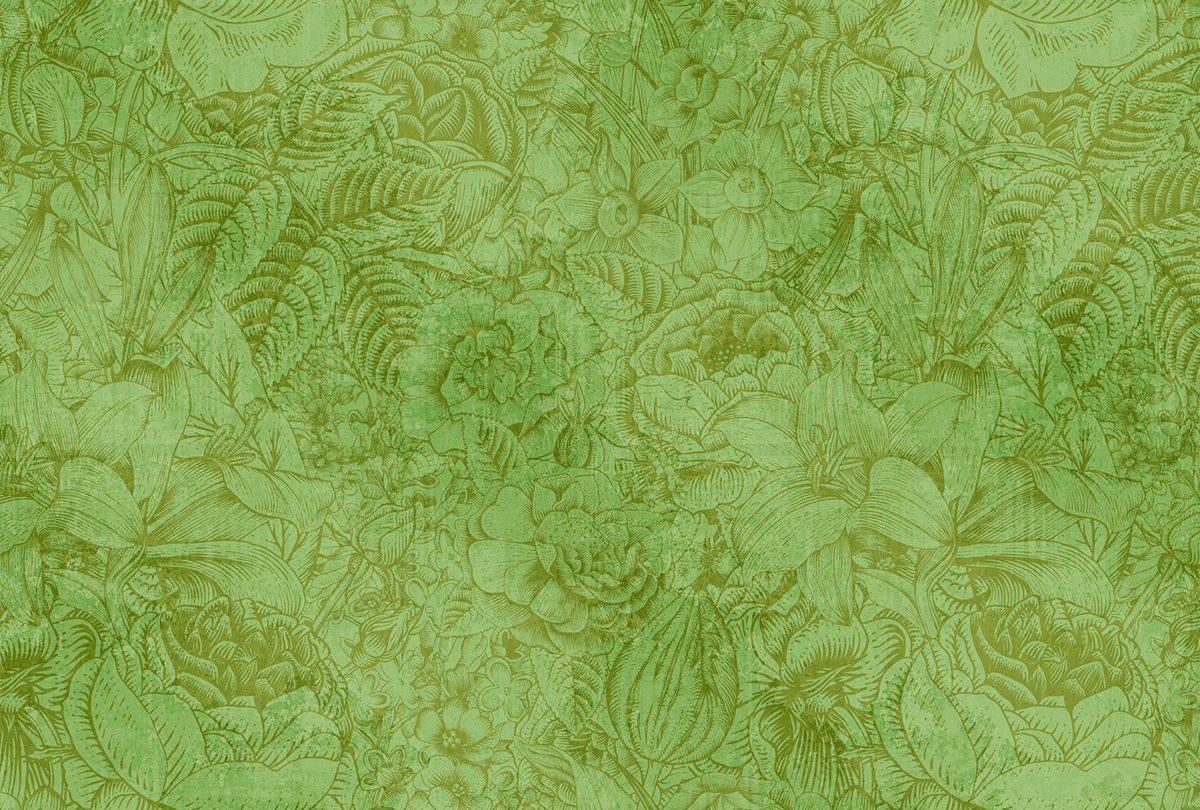 Papier peint panoramique Fleurs Jouy Botanica 2  - Référence DD111051 - Intissé 200g/m2 - Standard 400 x 270