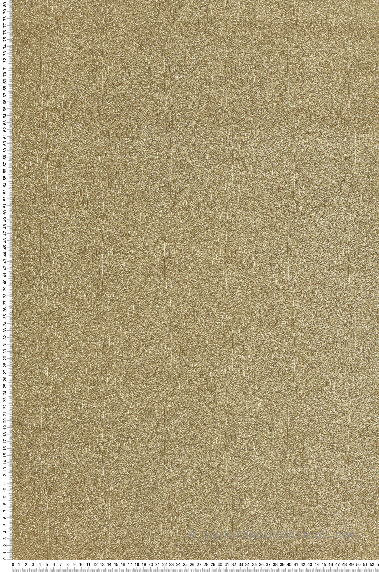 Papier peint Feuille Nervure Nola doré - Vegetals de Casadéco | Réf. VEGE201282332