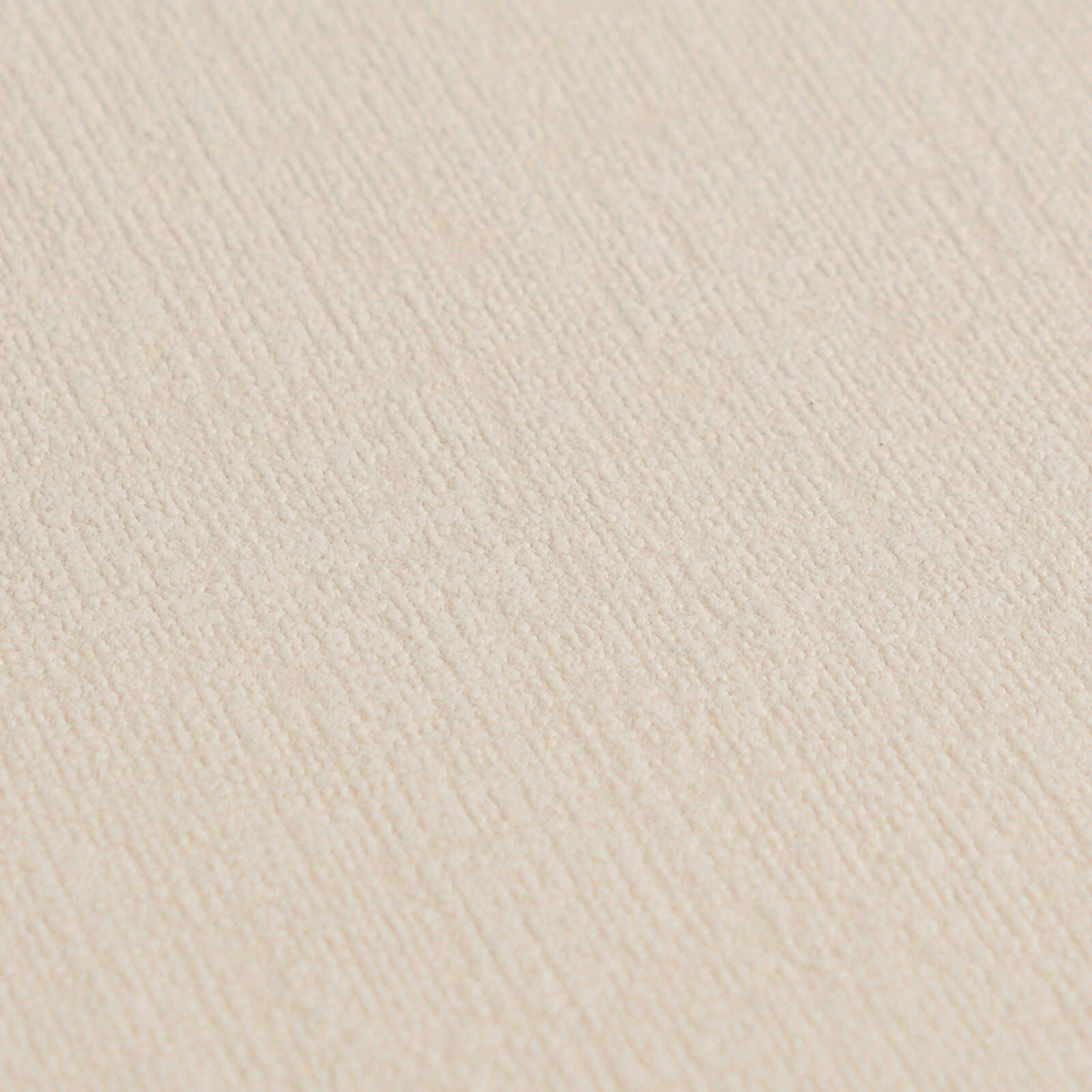 Papier peint Uni Doux grège - Vibes & Styles d'A.S. Création AMB5| Réf. AS-790102