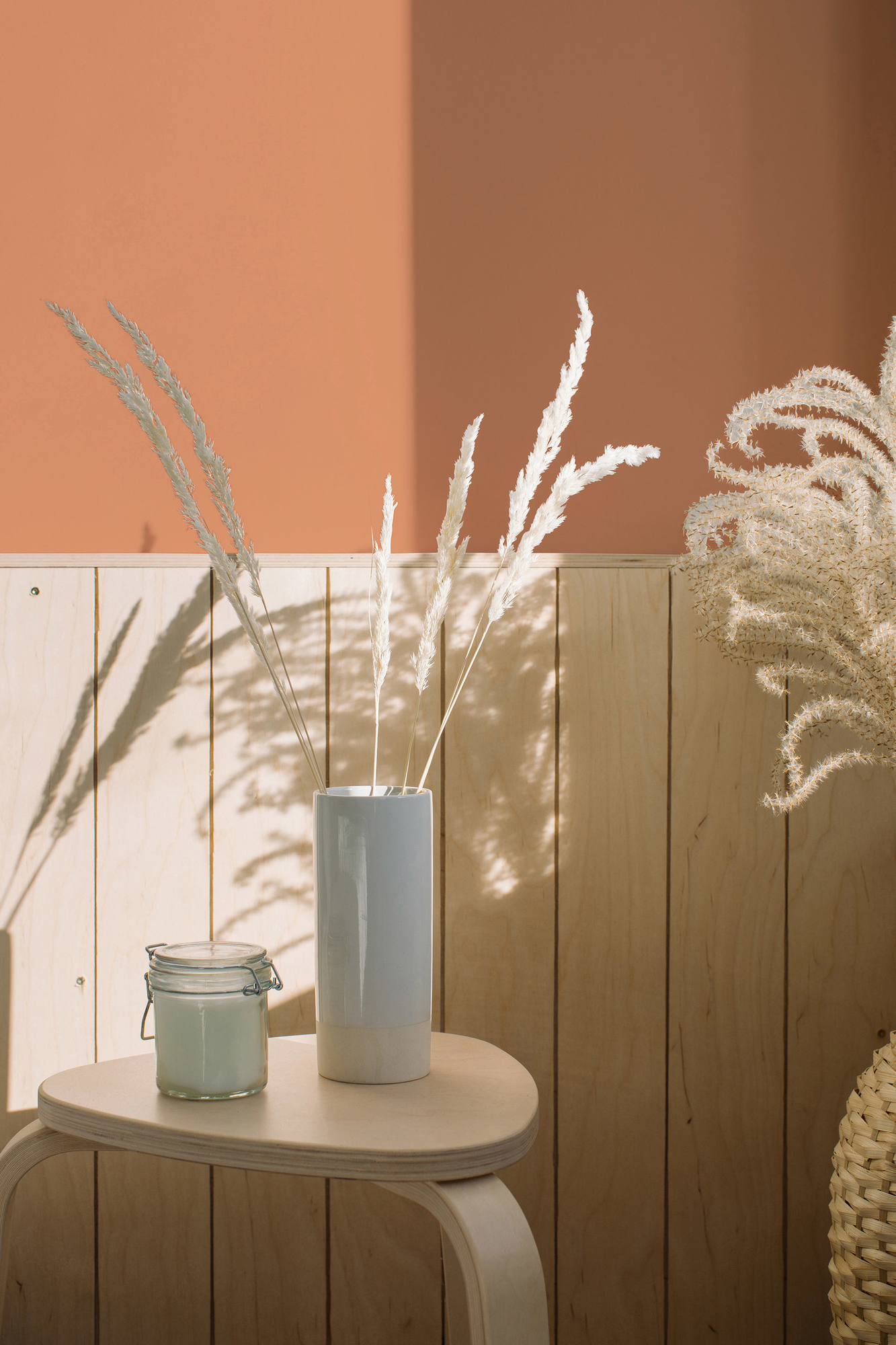 Photo numéro 2 d'une pièce avec un mur peint avec la peinture  Puro orange dusty orange - c9002