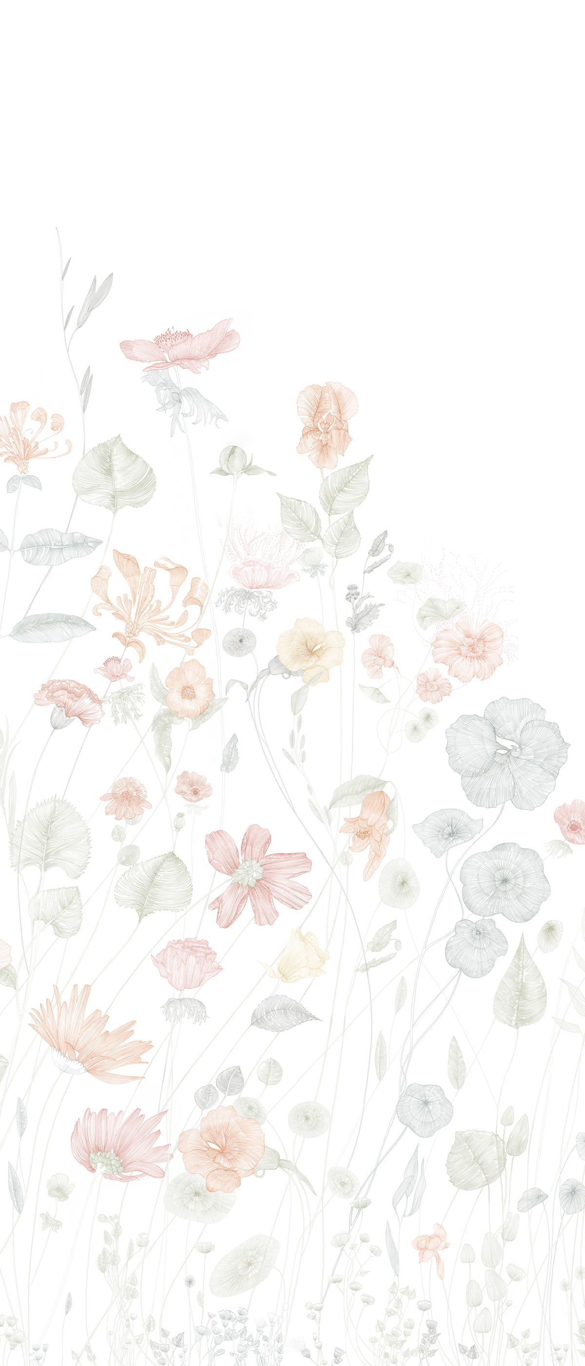 Papier peint panoramique Fleurs Prairie Pastel C - 7/8/9 - Isidore Leroy