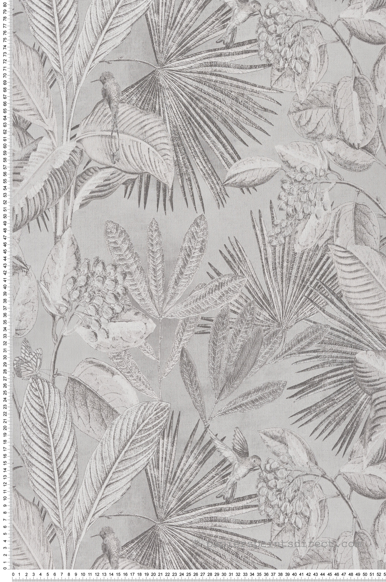 Papier peint Oiseaux Tropicaux gris - Renouveau de Lutèce | Réf. LTC-REN186