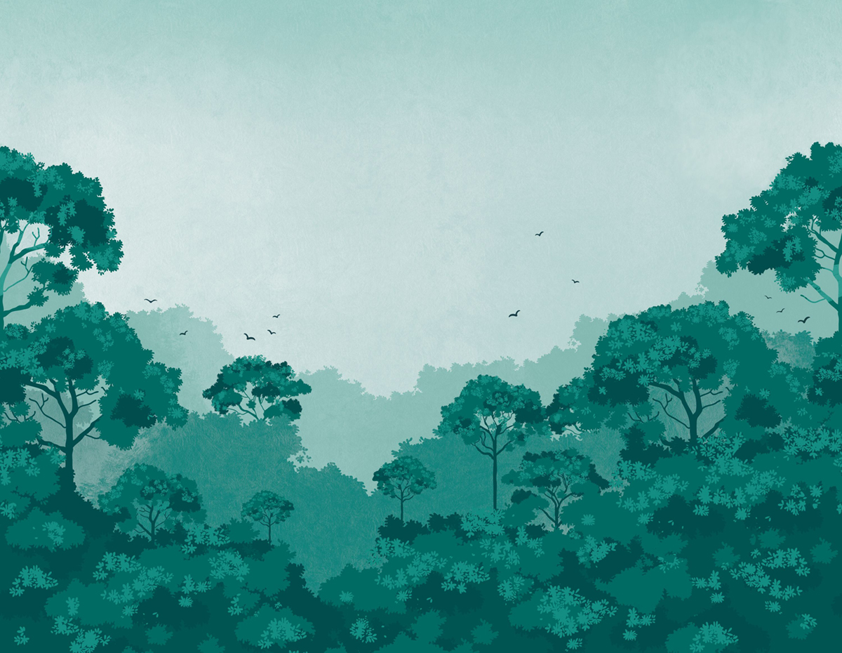 Papier peint panoramique Amazing Forest Vert L 400X310 - Pimp My Wall de Casélio | Réf. PMW104727712