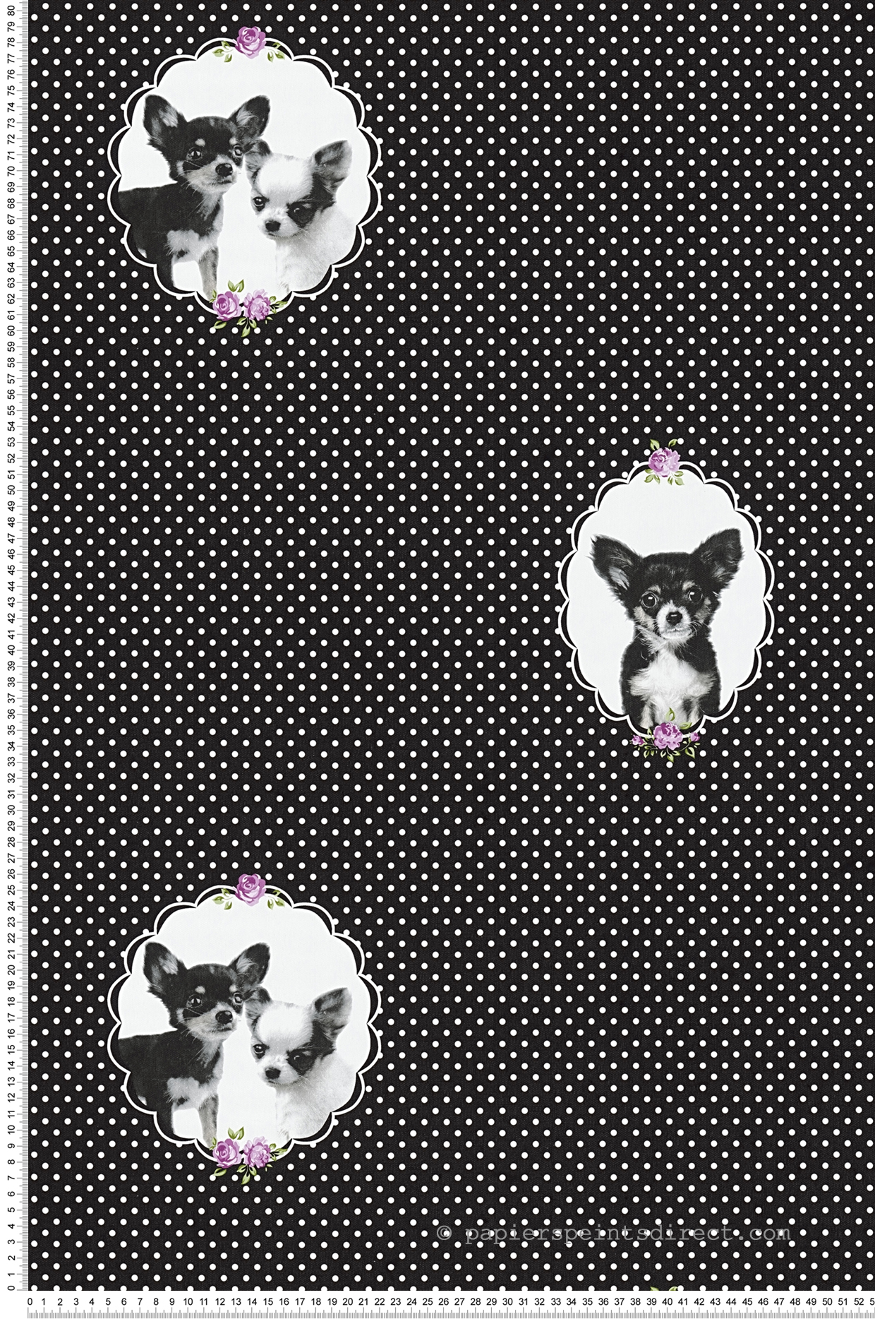 Papier peint chihuahua noir à pois - Little Stars AS Création | Réf. SP04379