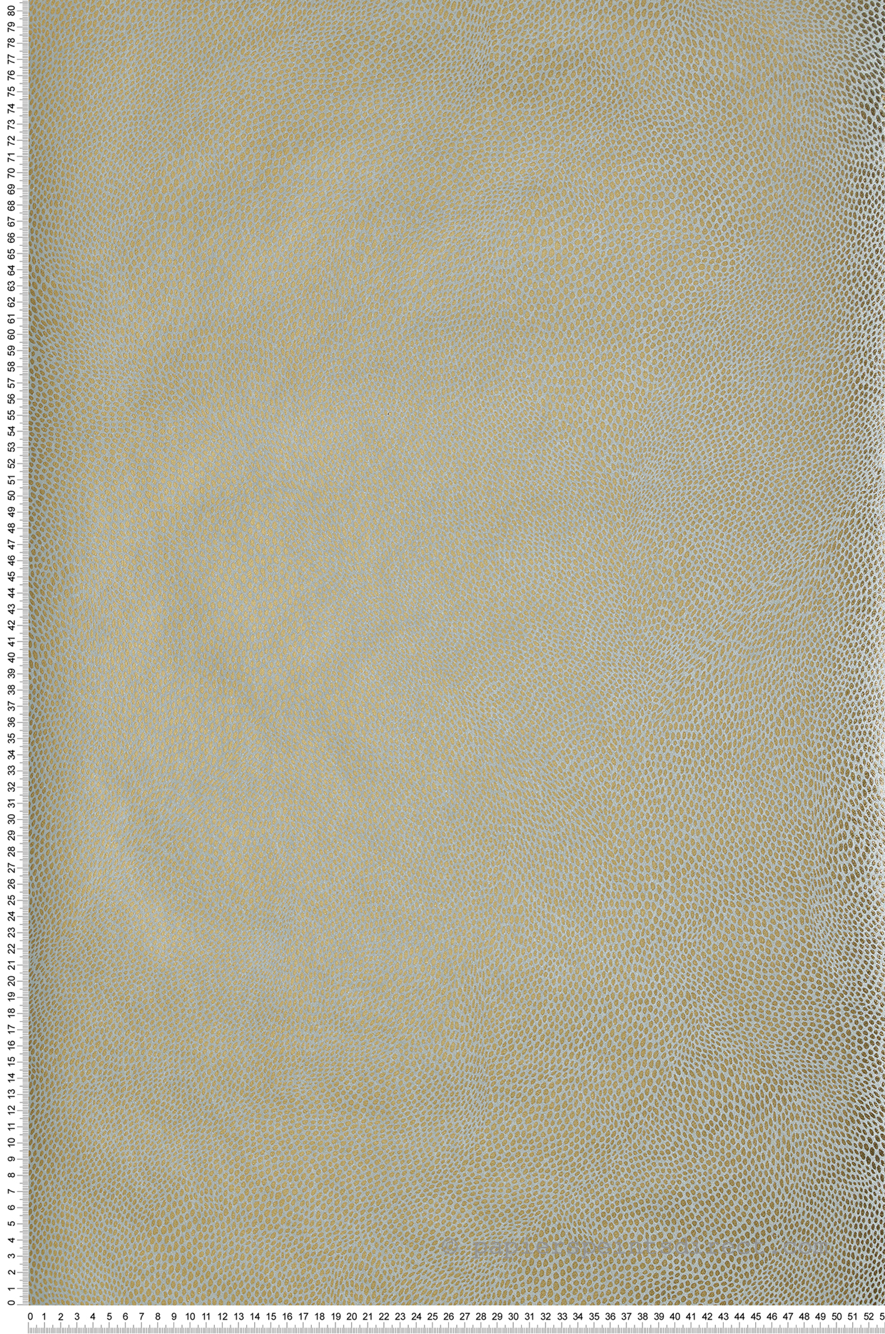 Papier peint Pois Naturel doré - Kanoko d'Osborne & Little | Réf. OBS-W7555-04