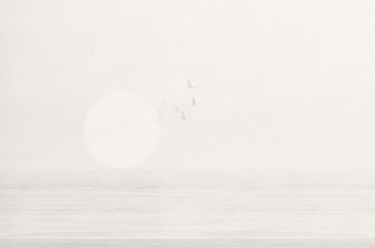 Papier peint panoramique Soleil Sunset gris - Panorama 2 de Lutèce | Réf. LTC-PAN1702C