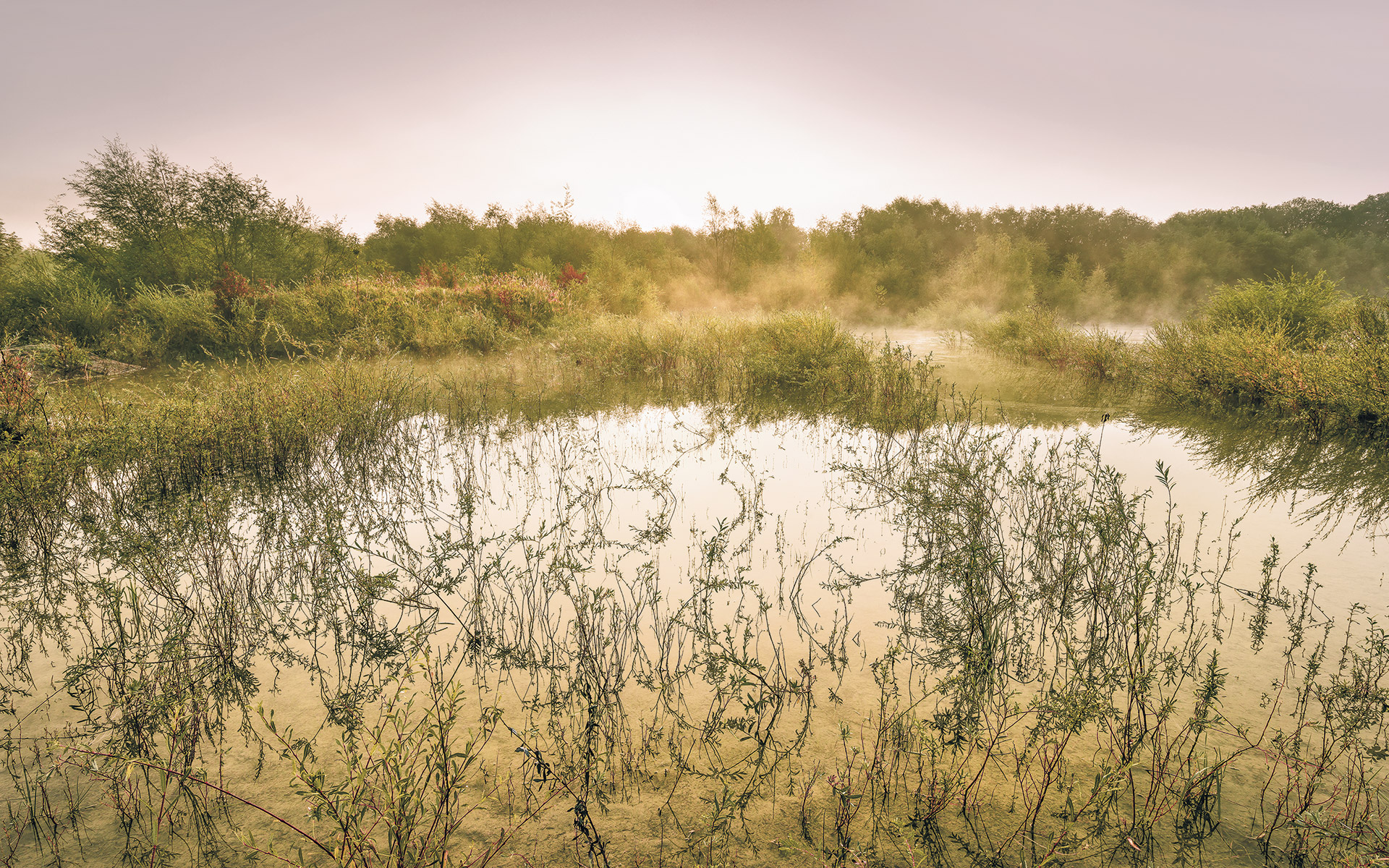 Panoramique Morning View II - Papier peint Komar