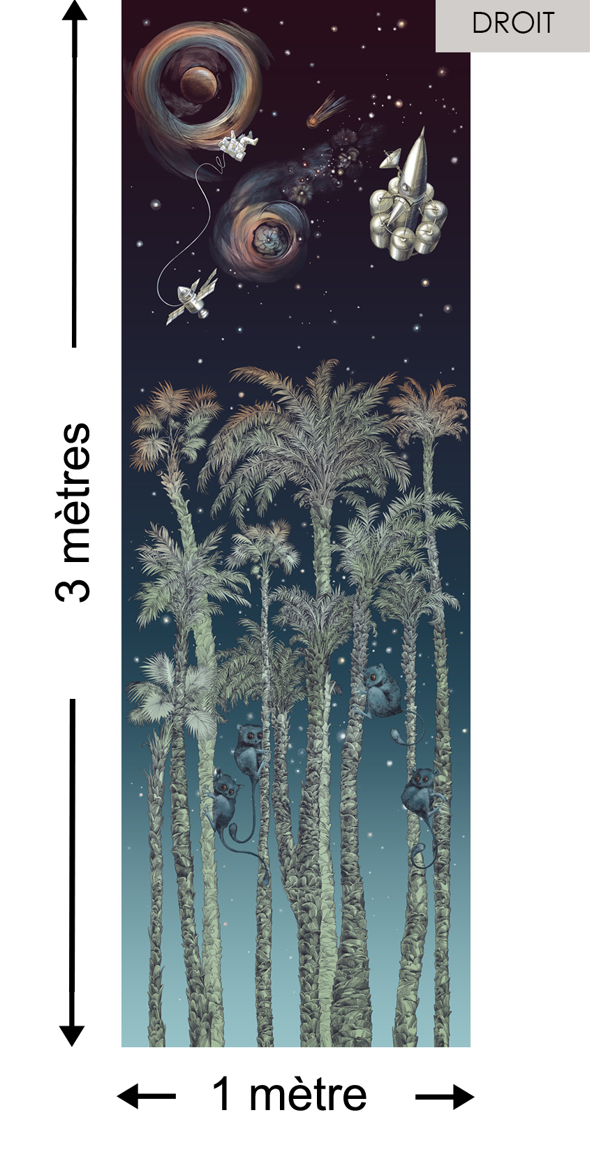 Nuit Cosmique DROITE Bleu - Collection Catherine Gran de Edmond Petit