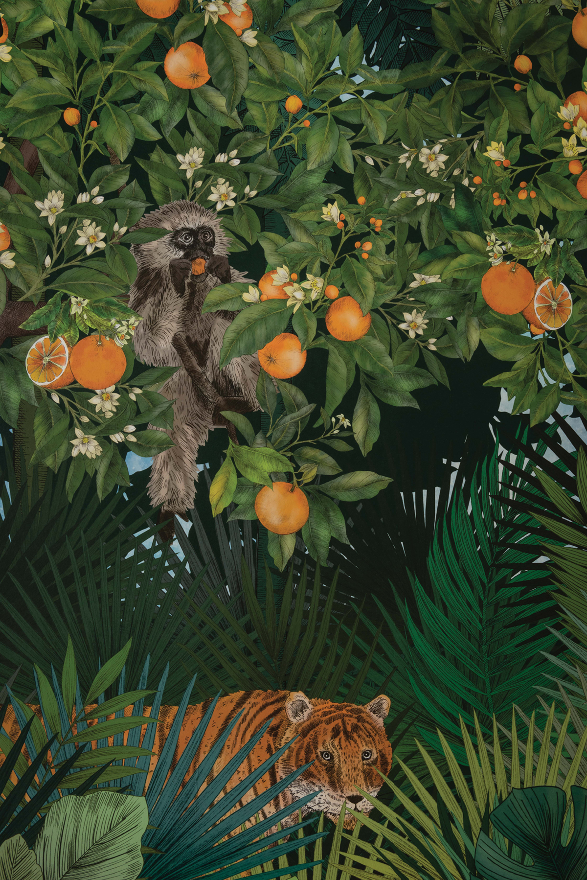 Papier peint panoramique Jardin Tiger Grove vert - DayDreams et The Wallpaper Collection de Matthew Williamson AMB | Réf. OSB-W7492-01