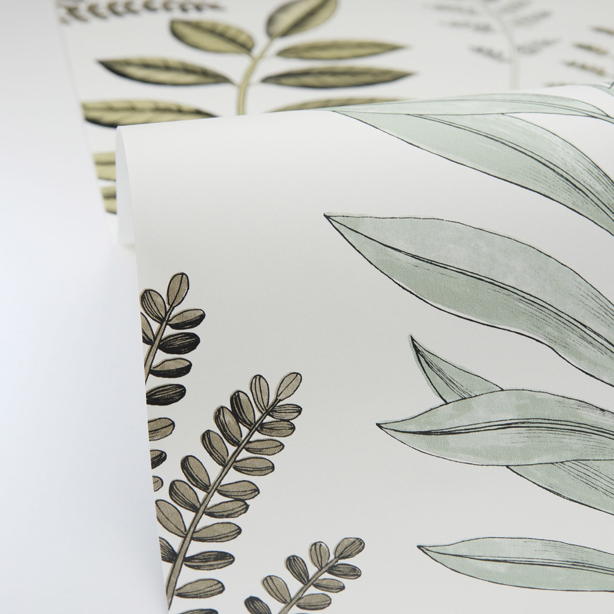 Papier peint Végétaux Florium vert d'eau - Art of Botany de Casélio AMBV | Réf. AOB106660782