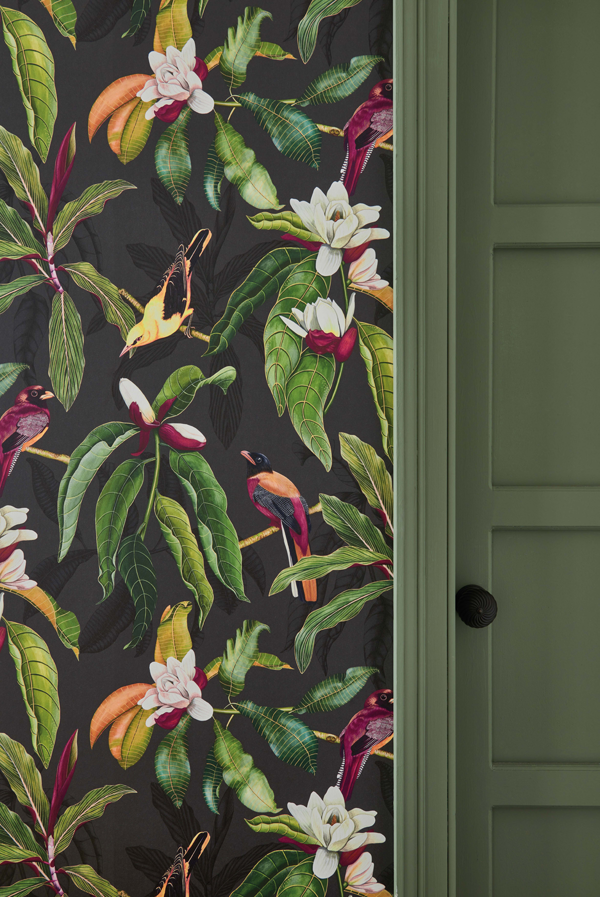 Papier peint exotique Oiseaux Michelia Charocal - Empyrea d'Osborne & Little AMB3 | Réf. OSB-W7612-01