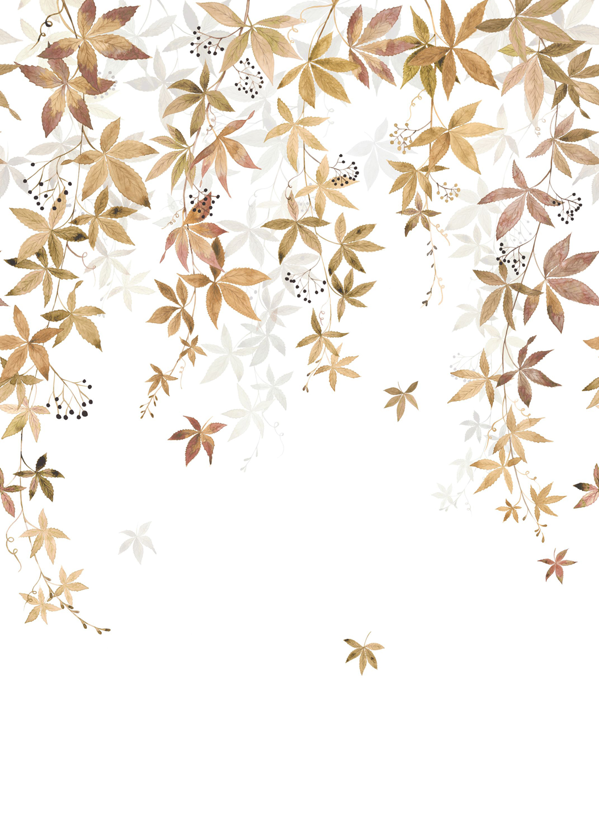 Papier peint panoramique Feuille Vigne en Fleur M brun 200X280 - Wonderwalls 2 de Casadéco | Réf. WDWD200062303