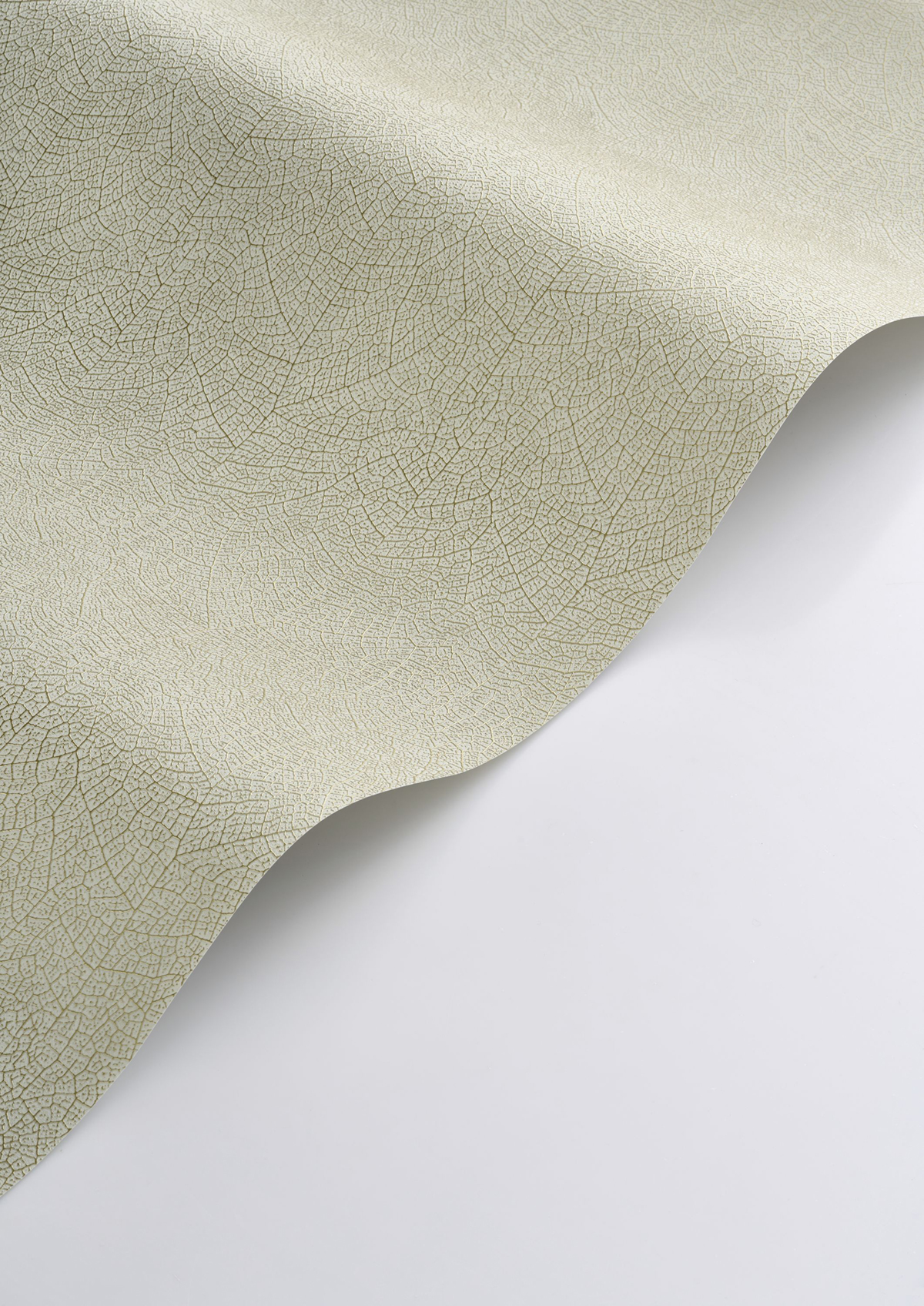Papier peint Feuille Nervure Nola vert amande - Vegetals de Casadéco AMBV| Réf. VEGE201287117