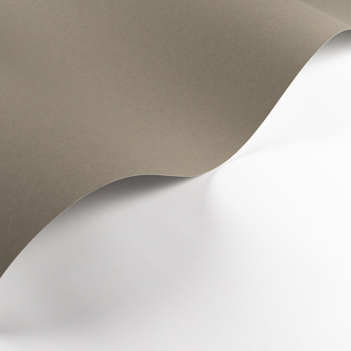 Papier peint Uni Pigments Buvard gris éléphant - Galons et Frises de Casadéco AMB2| Réf. GAFR200339404