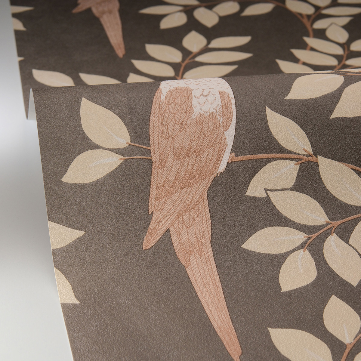 Papier peint Oiseau Jungle Equateur gris - Borneo de Casélio AMBV| Réf. BORN106529023