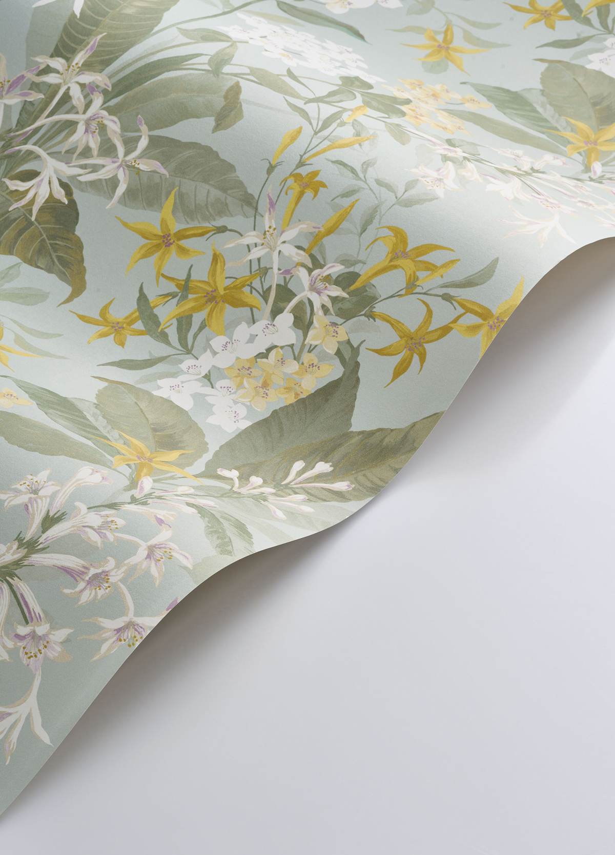 Papier peint Fleuri Songe de Jasmin vert d'eau - Le Beau Jardin de Casadéco VAGUE | Réf. BJAR202566025