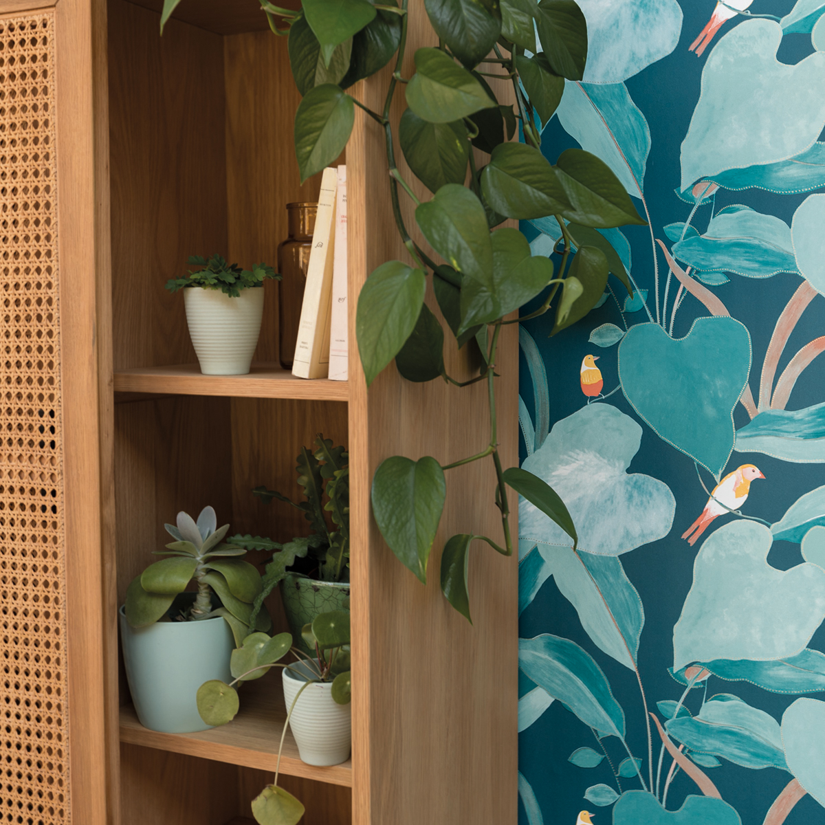 Papier peint Oiseaux tropical Amazonia bleu canard - L'odyssée de Casélio AMB3 | Réf. OYS101426803