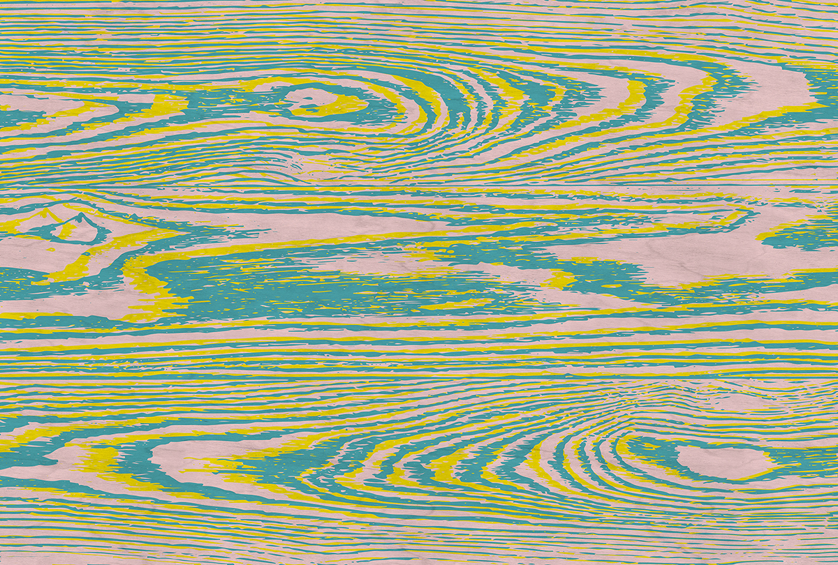 Papier peint panoramique Bois Bounty 3 - Référence DD122596 - Intissé 200g/m2 - 400 x 270 cm