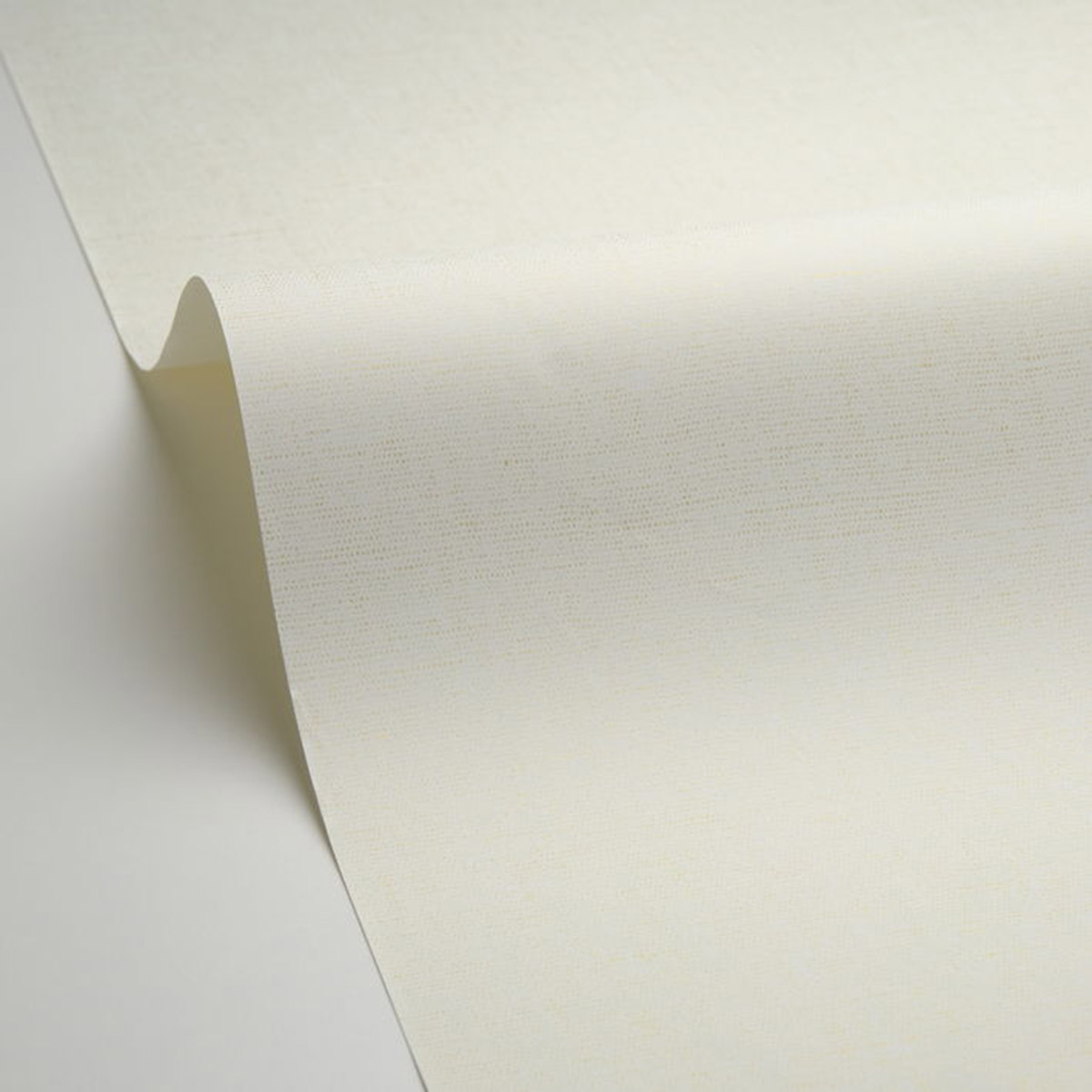 Papier peint Uni Lin blanc cassé doré - Line Up de Casélio | Réf. LNP103230020