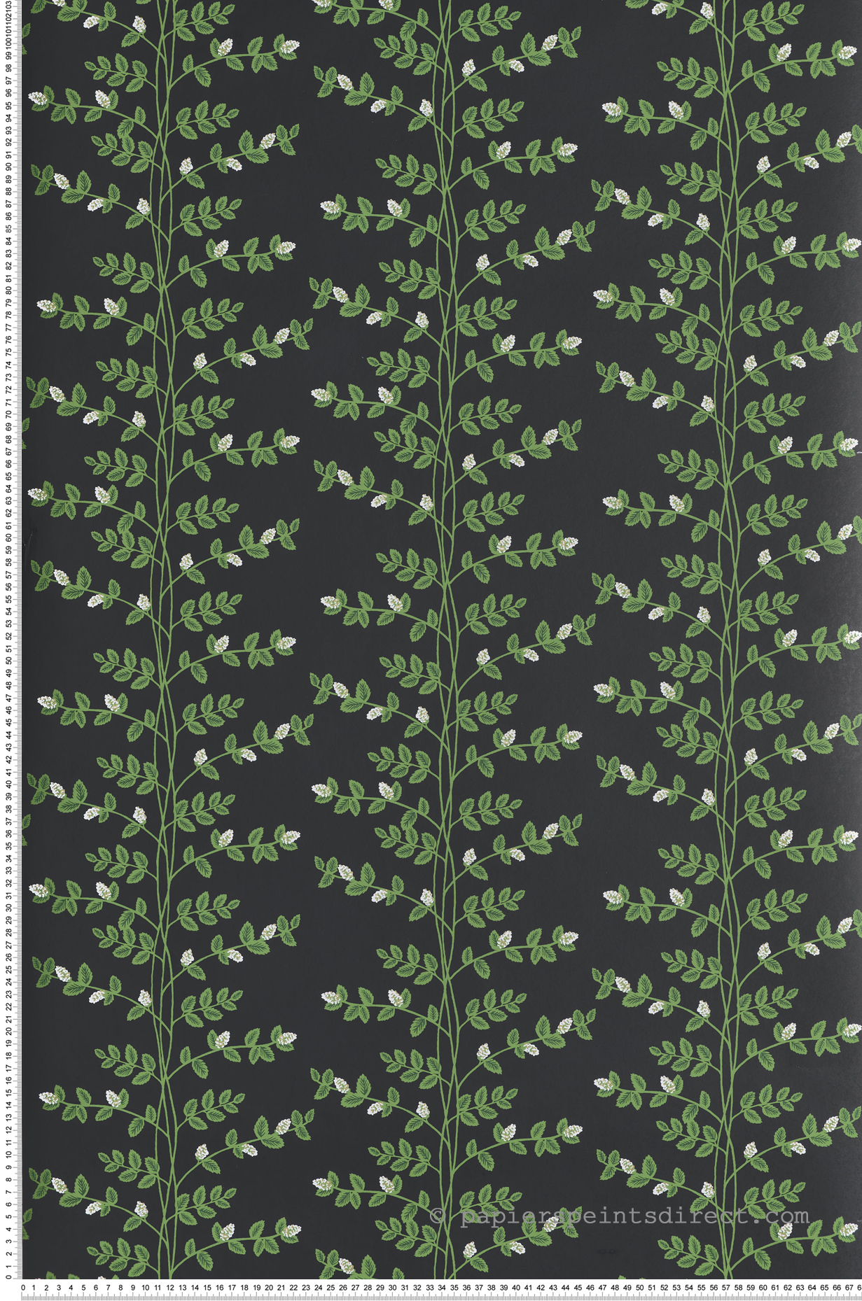 Papier peint Feuillage Climbing Vine noir doré - Rifle Paper Co. 3 de York (Initiales) | Réf. INI-RF7422