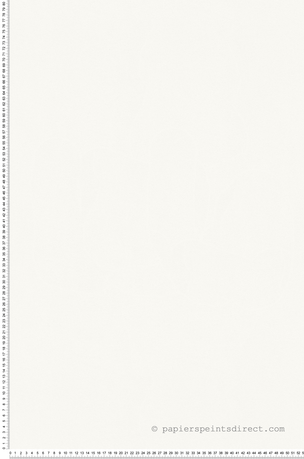 Papier peint Uni écru - Bjorn AS Création | Réf. SP04081