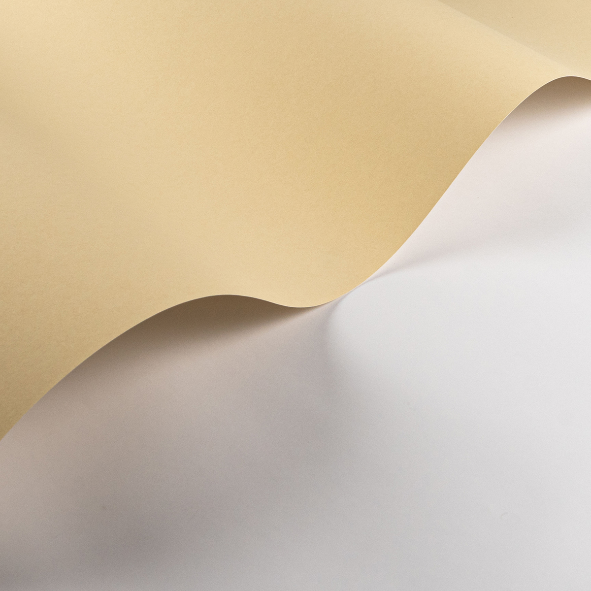 Papier peint Uni Pigments Buvard jaune pâle - Galons et Frises de Casadéco AMB1| Réf. GAFR200332002