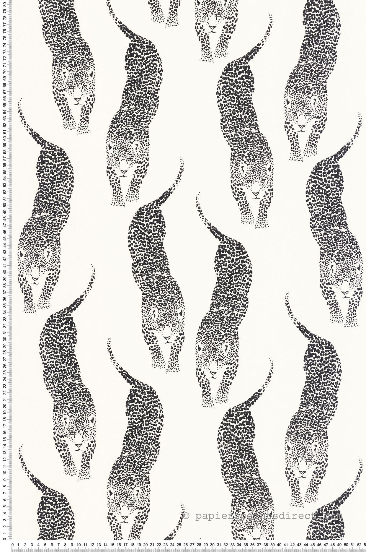 Papier peint Panthera Sauvage noir blanc - Stay Wild de Casélio | Réf. WILD104920995