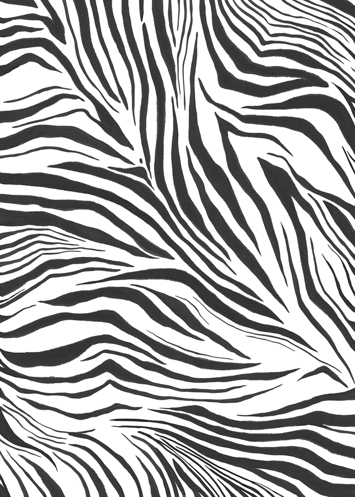 Papier peint panoramique Imprimé Zebra M blanc noir 200X280 - Stay Wild de Casélio | Réf. WILD104960903