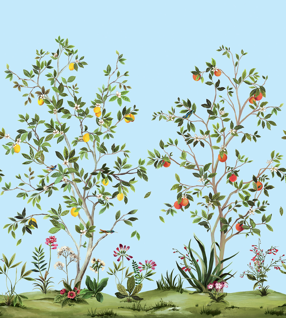 Papier peint panoramique Plantation d'Agrume bleu clair - Daisy Bennett d'Initiales | Réf. INI-DB30302M