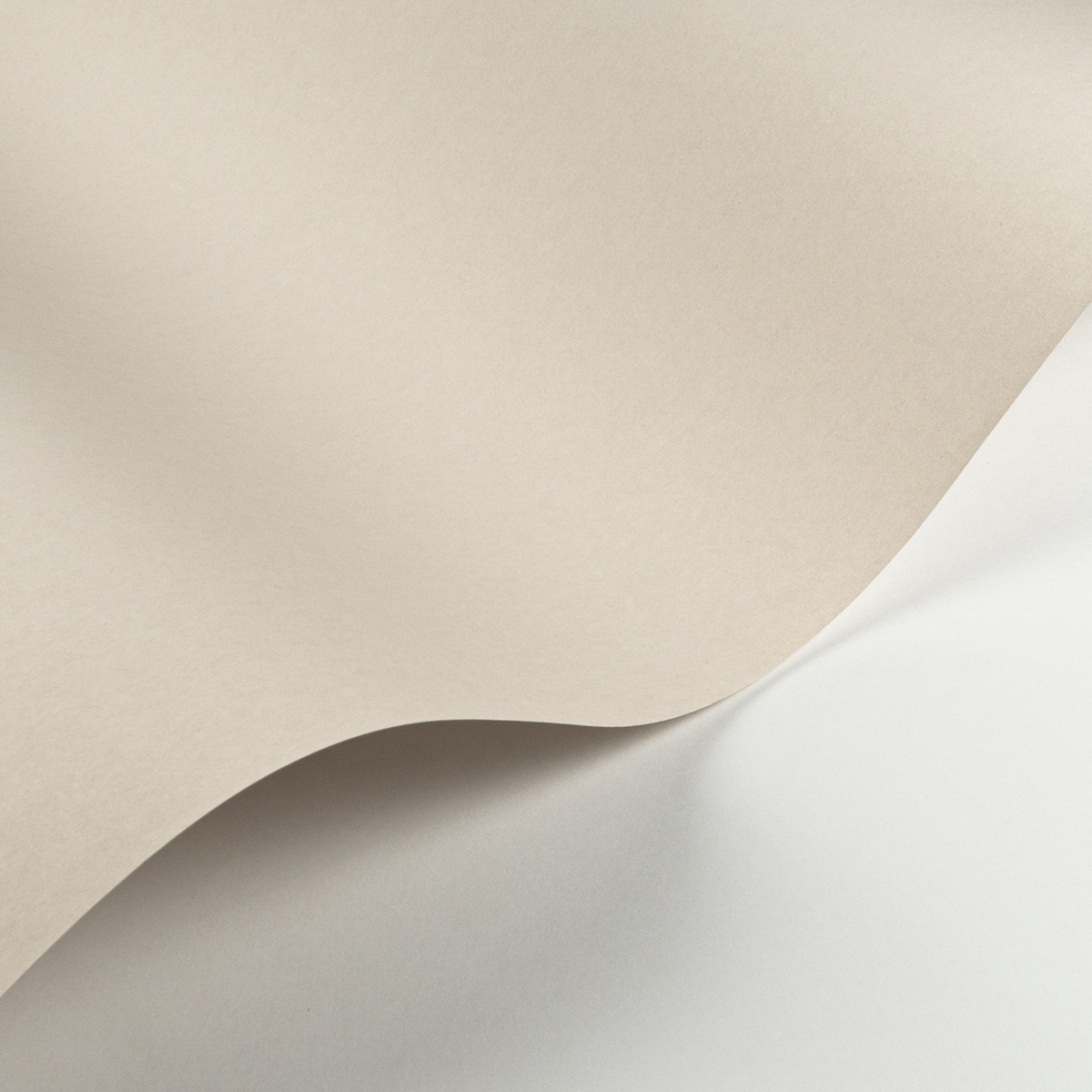 Papier peint Uni Pigments Buvard lin - Soliflore de Casadéco | Réf. SOLI200331101