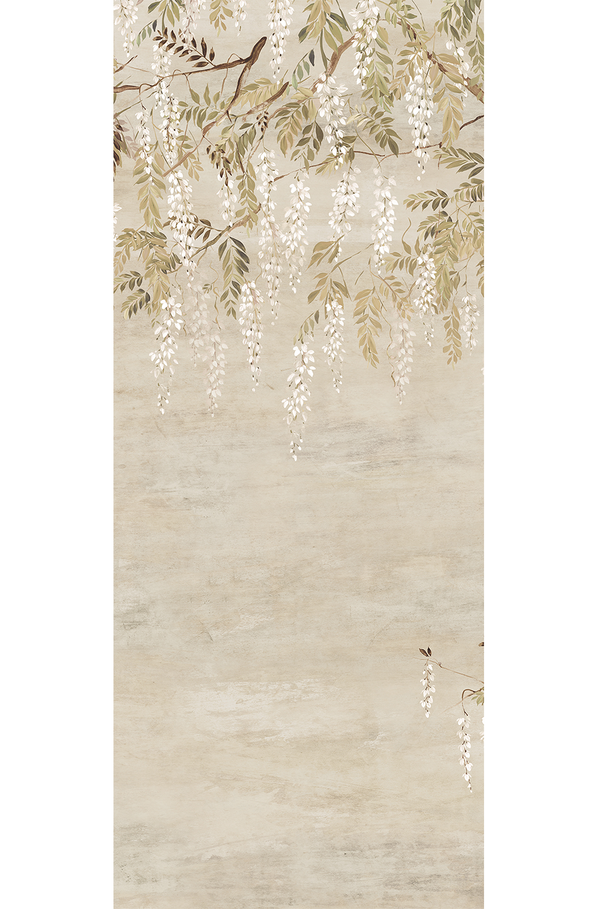 Papier peint panoramique Fleurs Glycine Patio beige - B H260 - Wall Designs IV de Masureel | Réf. MAS-DG4PAT1012-260