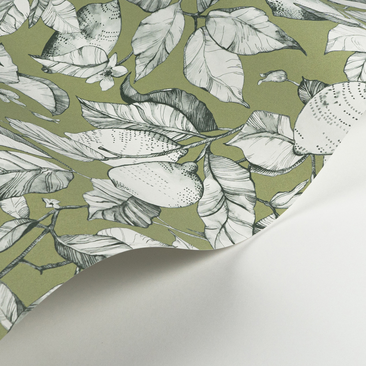 Papier peint Citronnier Contemporain vert argile - Soliflore de Casadéco AMBV | Réf. SOLI200277313