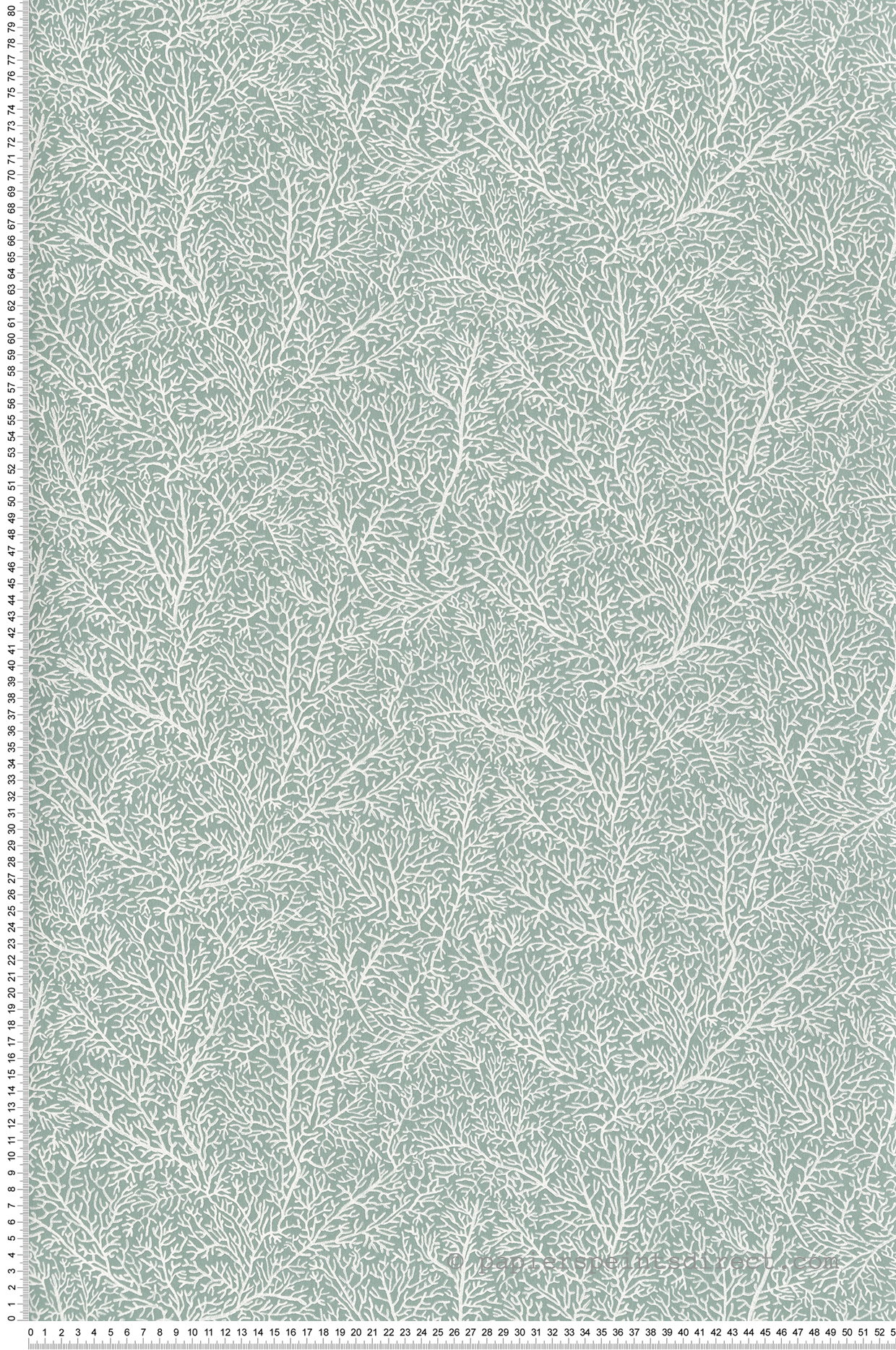 Papier peint Coraux Only Chips vert d'eau - Sea You Soon de Casélio | Réf. SYO102787110