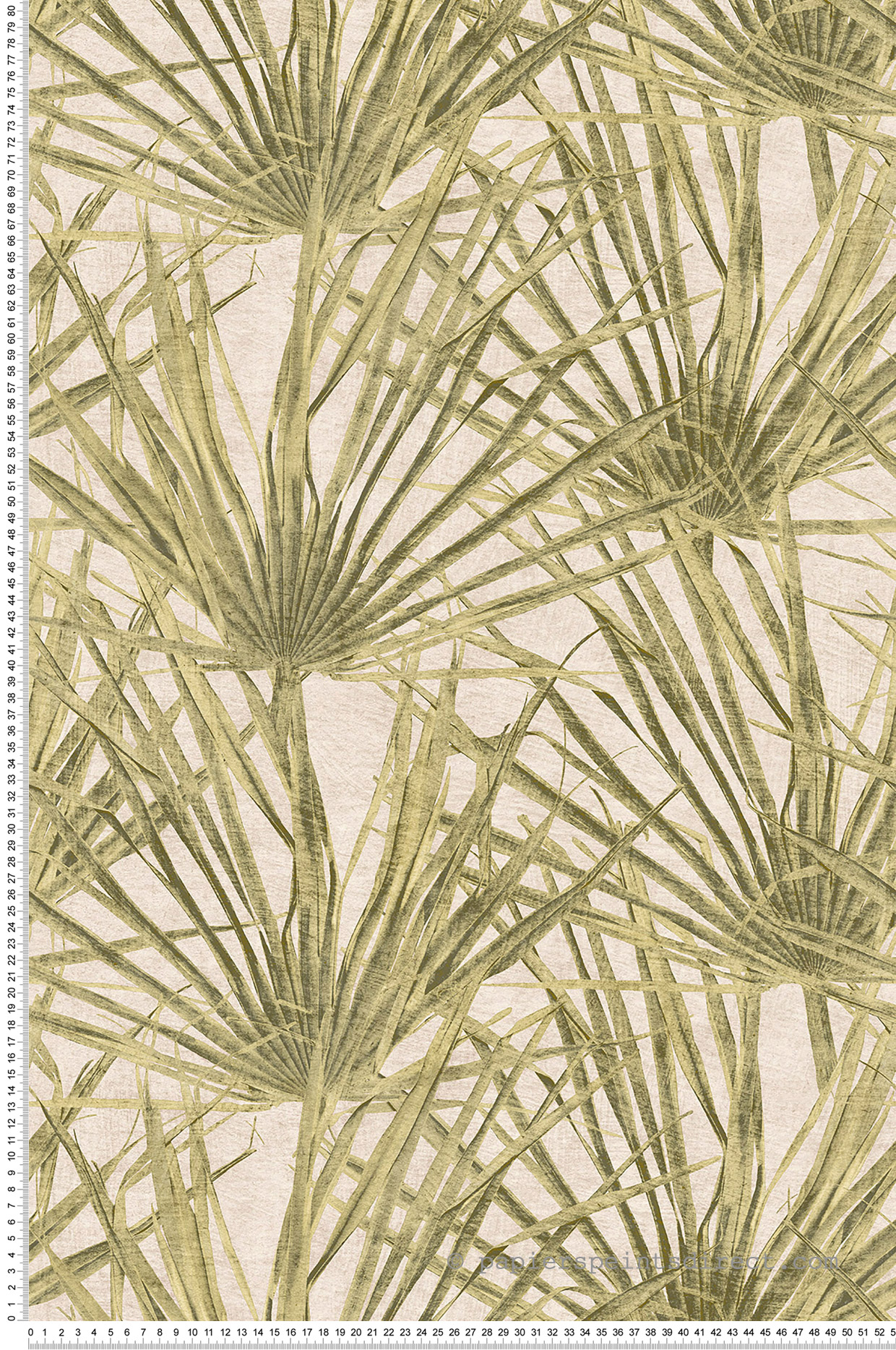 Papier peint Palmes Nature Contemporain vert anis - Herbier de Montecolino | Réf. MC-HE27261