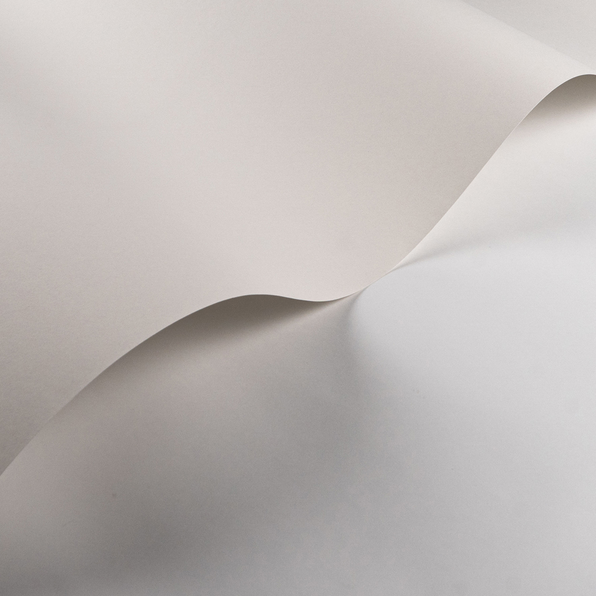 Papier peint Uni Pigments Buvard blanc - Moulures & Co de Casadéco | Réf. MOCO200330000