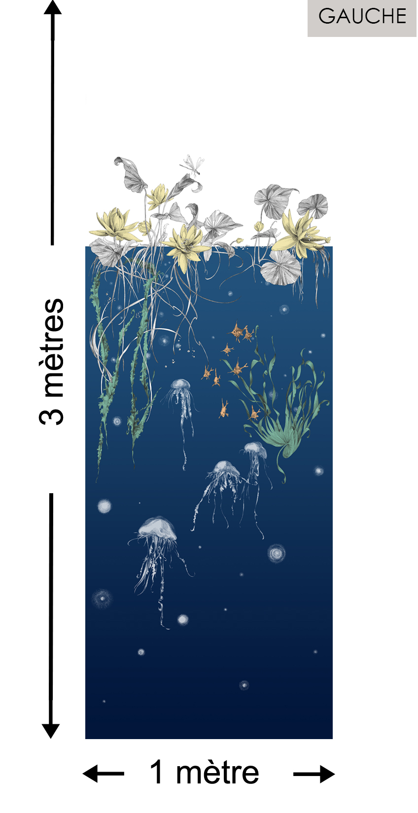 Méduses DROIT Marine - Collection Catherine Gran de Edmond Petit