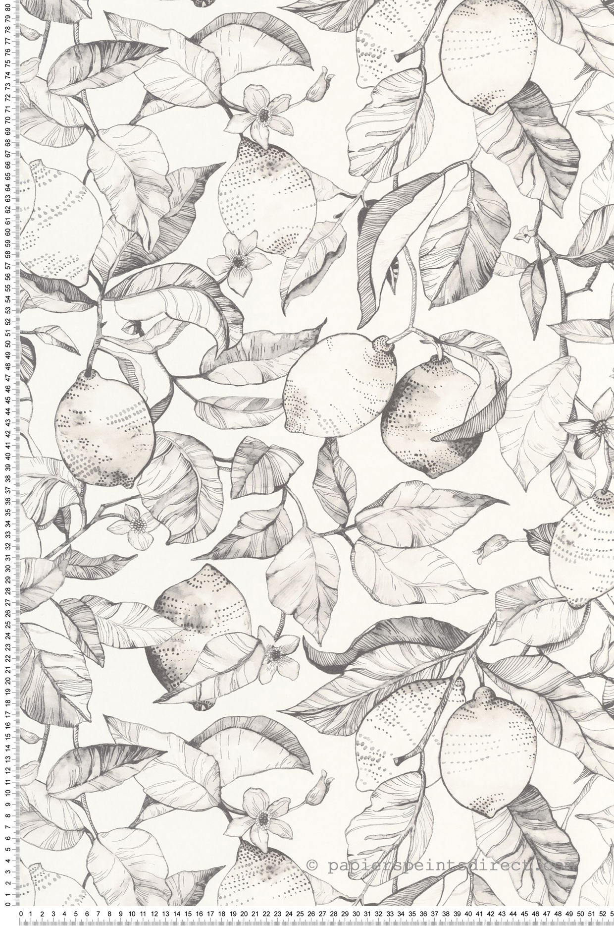 Papier peint Citronnier Contemporain gris fusain blanc - Soliflore de Casadéco | Réf. SOLI200270900