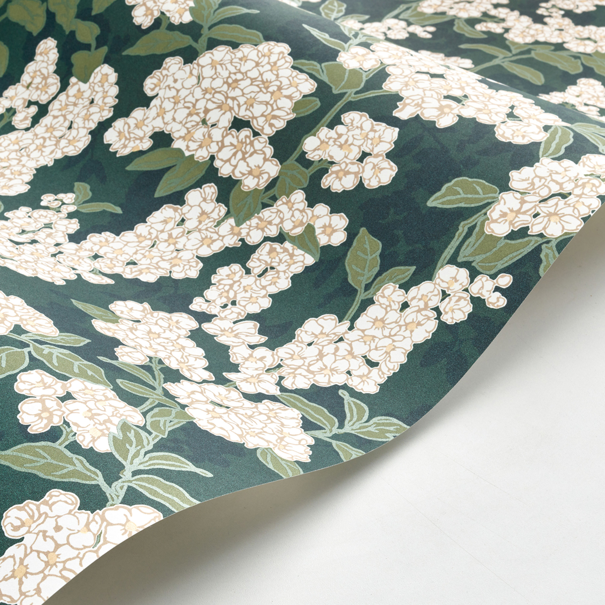 Papier peint Fleurs Ume vert empire - Kyoto de Casadéco AMB3 | Réf. KYTO88737796