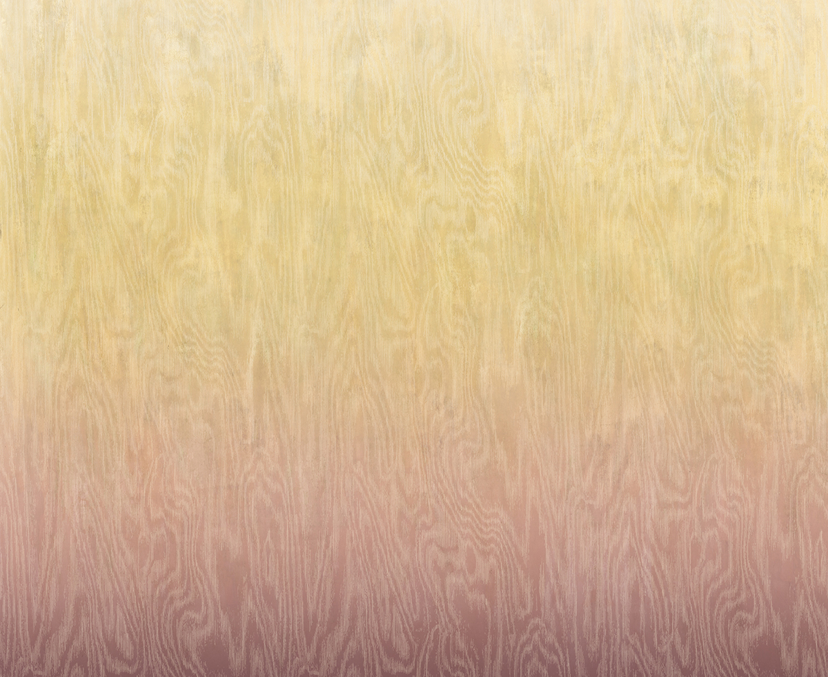 Papier peint panoramique Dégradé Moiré Bois rose beige - A, B et C H260 - Wall Designs IV de Masureel | Réf. MAS-DG4MOI106X-260