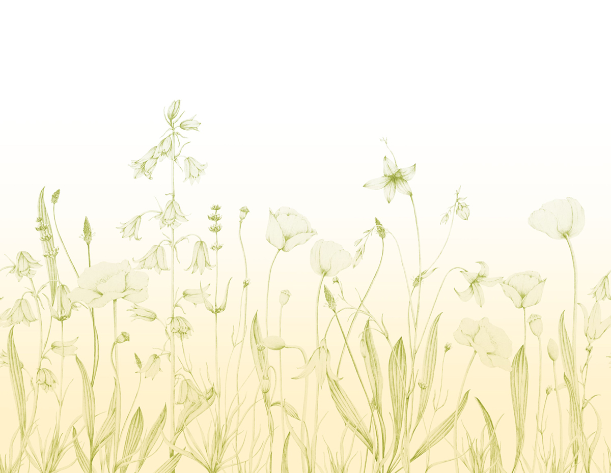 Papier peint panoramique Floral Promenade Bucolique L lime 400X310 - Wonderwalls 2 de Casadéco | Réf. WDWD200167312