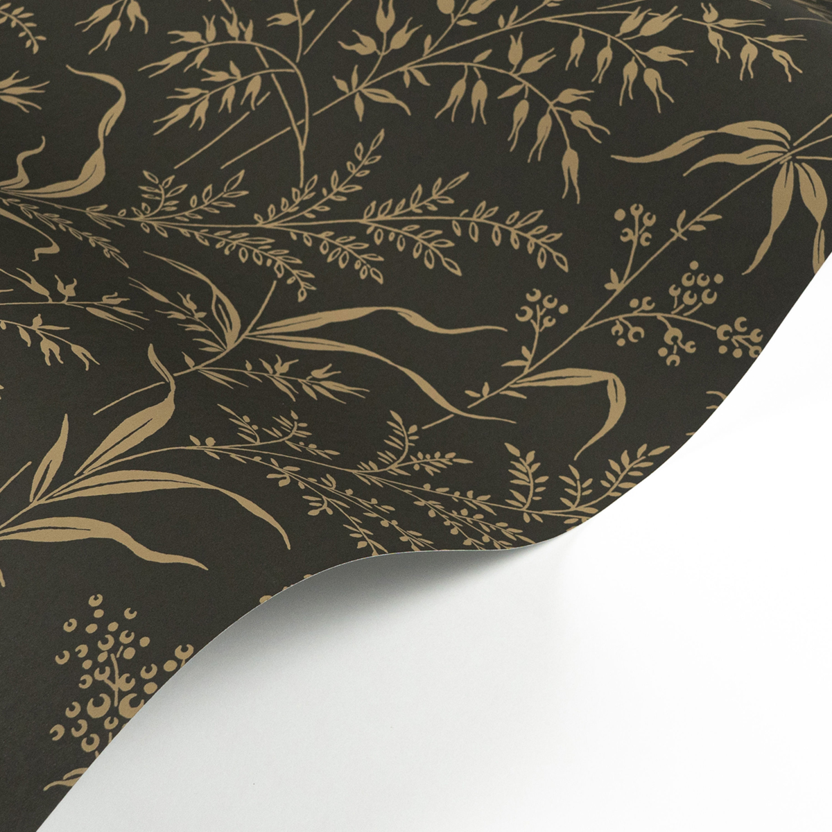 Papier peint Champ d'Herbe ardoise brun olive - Soliflore de Casadéco AMBV | Réf. SOLI200289717