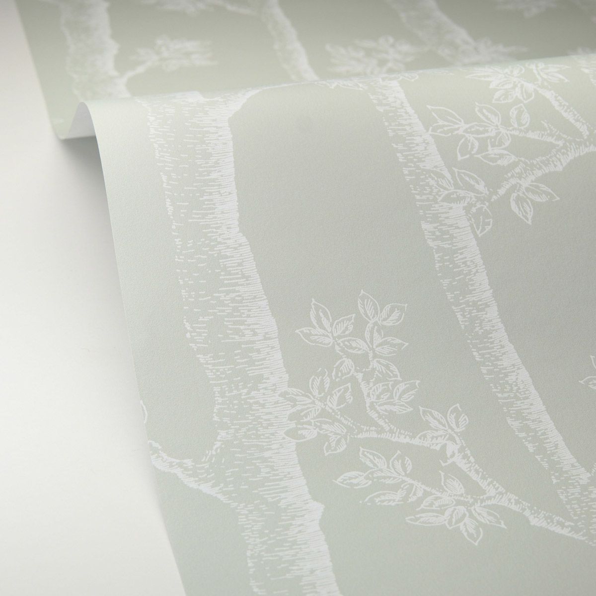 Papier peint Arbre Tronc Automne vert amande - Balade de Casélio AMB6| Réf. BLD106127075