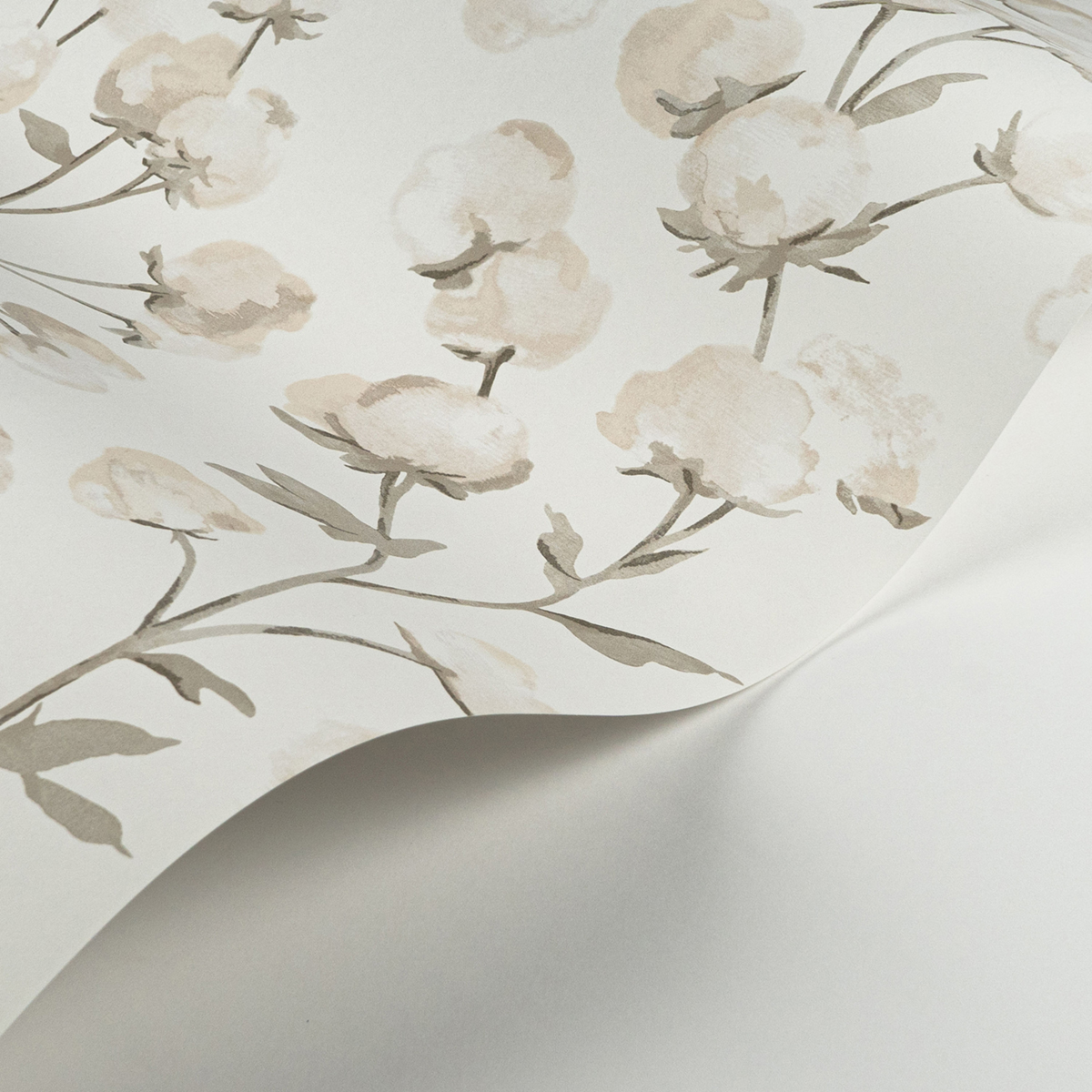 Papier peint Fleur de Coton beige ficelle - Soliflore de Casadéco AMBV | Réf. SOLI200291111