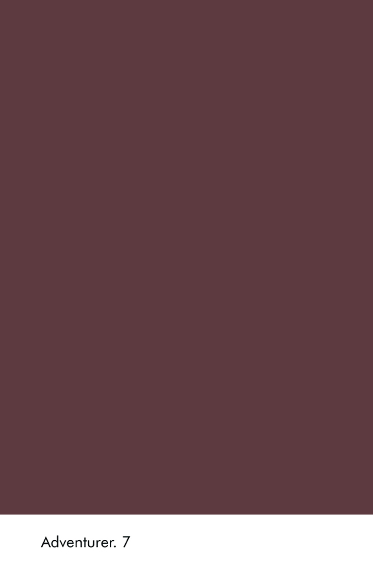 Peinture Little Greene Adventurer n°7