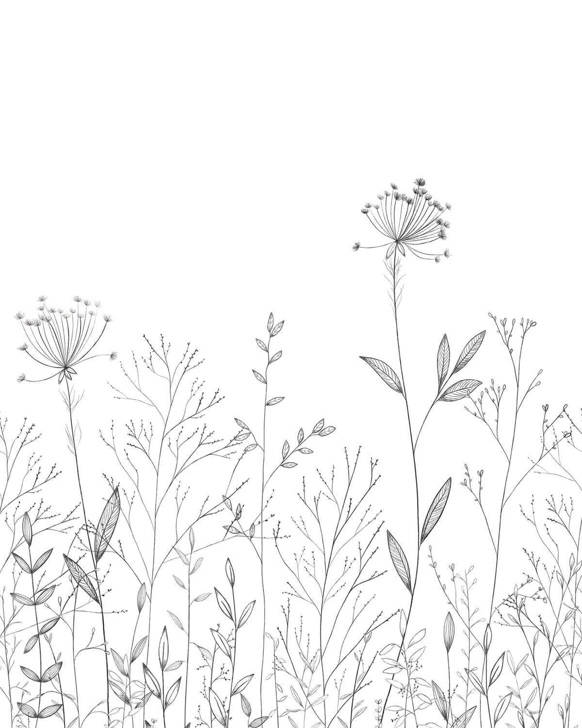 Papier peint Panoramique Prairie Field Line noir et blanc 200X250 - Moonlight 3 de Casélio | Réf. MNL3107220905