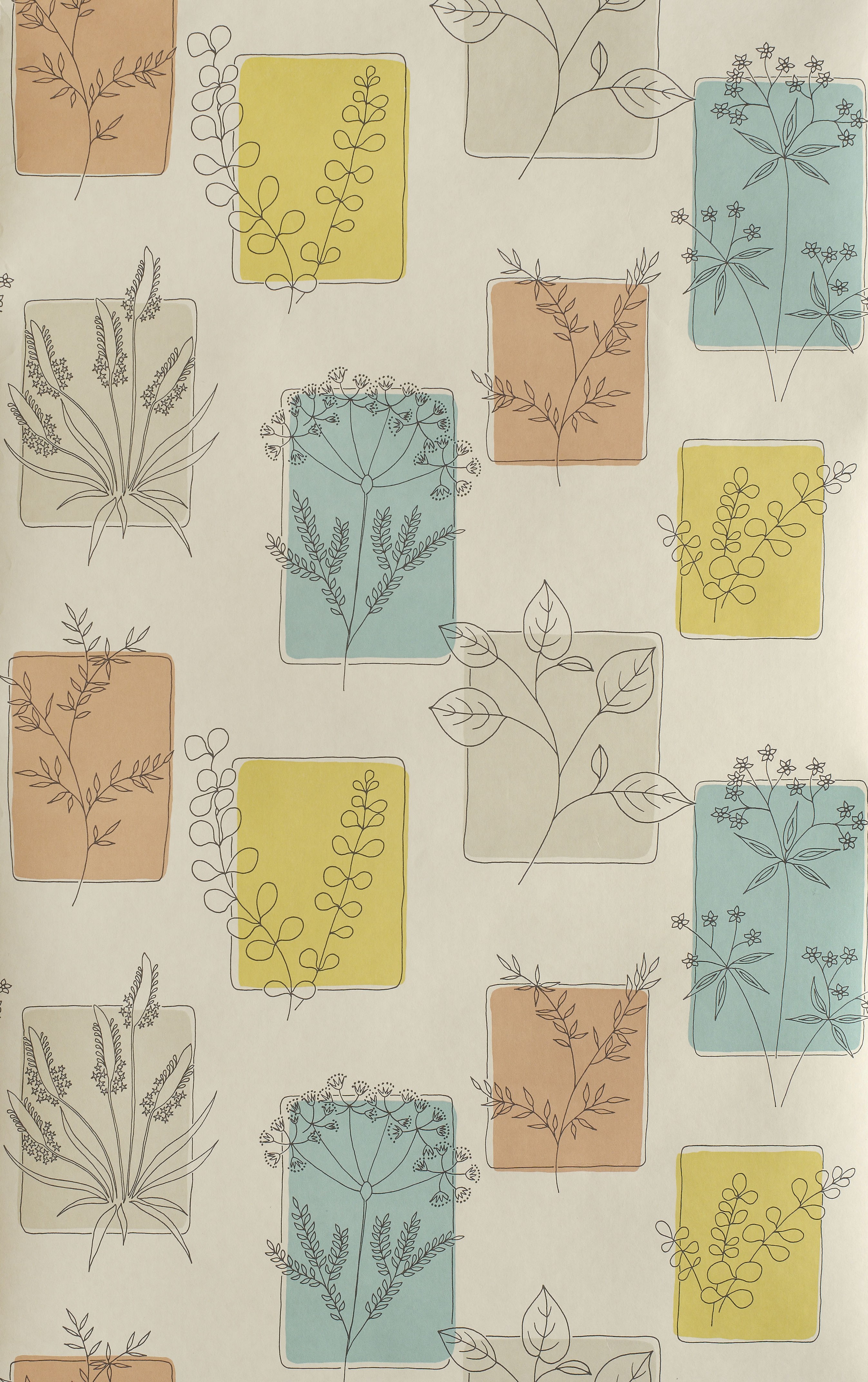 Papier peint 50' s Line Papers par the Little Greene, référence : 272HRCOCKT