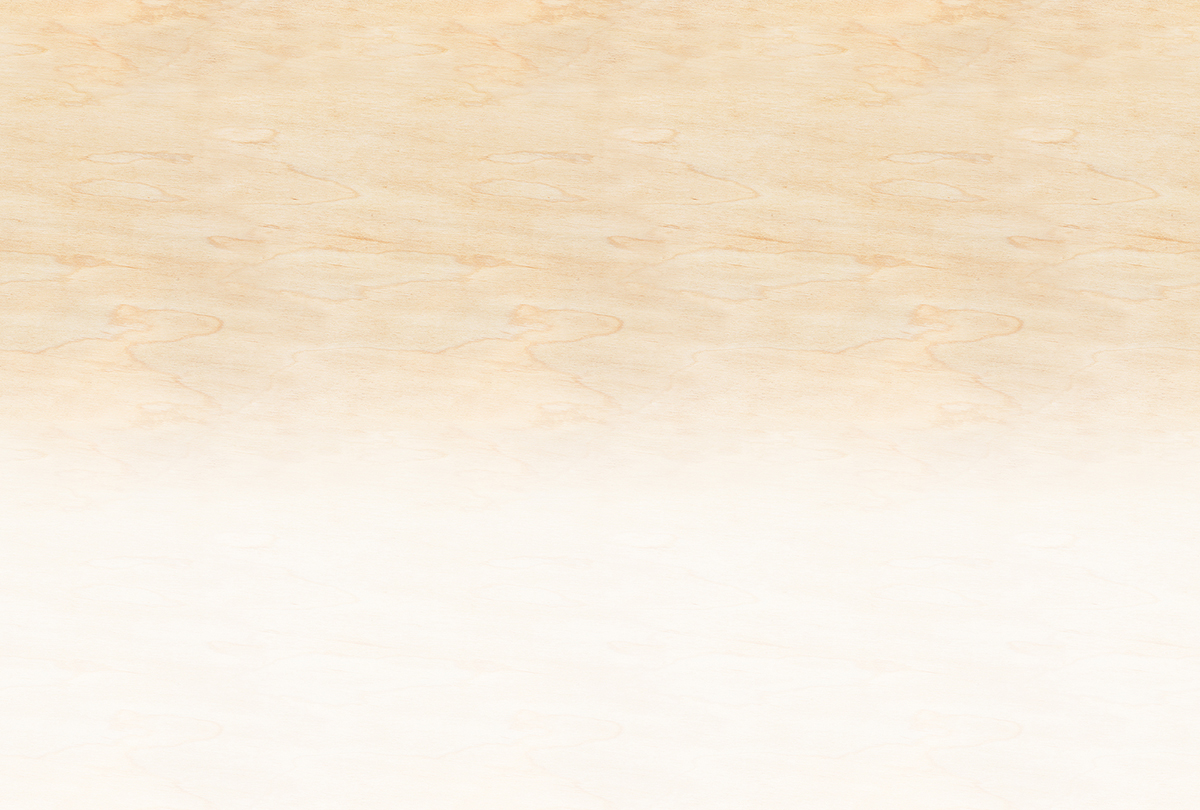 Papier peint panoramique Walls by Patel 3 - Référence DD122632 - Intissé 200g/m2 - 400 x 270 cm